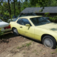 Illustration for article titled A Michigan Town Is Forcing This Man To Sell 20 Old Cars Off His Property Every Month